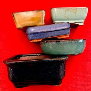 Glazed Shallow Plant Pots - Set of 5